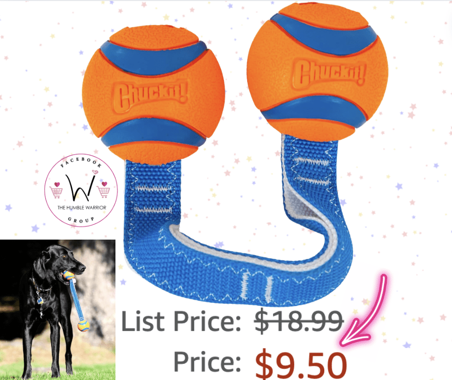 Chuckit! Ultra Duo Tug Dog Toy!